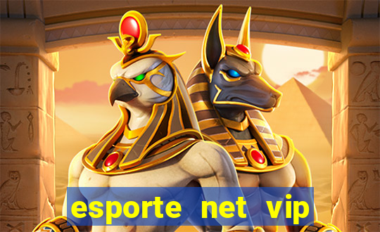 esporte net vip bet consultar bilhete